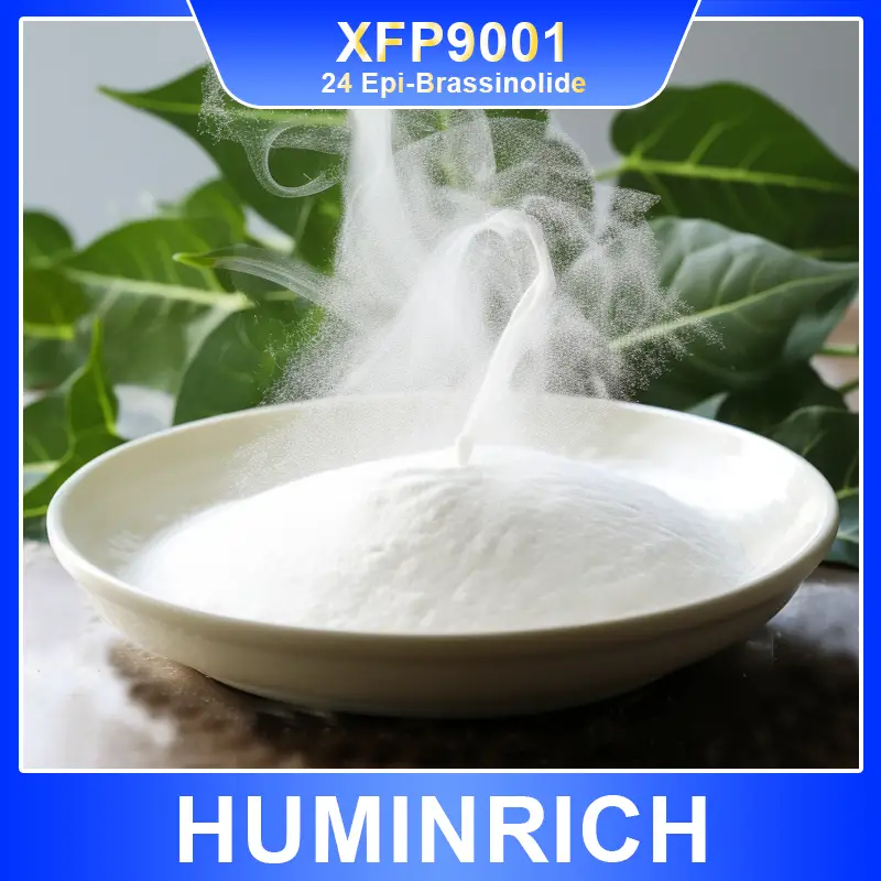 24 epi brassinolide 90 tc xfp9001（1）