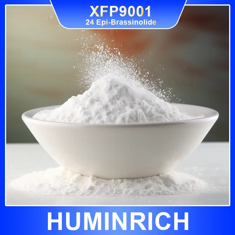 24 epi brassinolide 90 tc xfp9001（3）