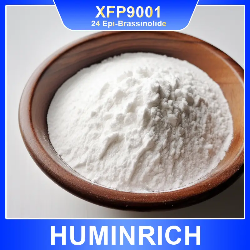 24 epi brassinolide 90 tc xfp9001（4）