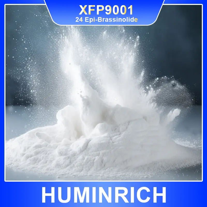 24 epi brassinolide 90 tc xfp9001（6）