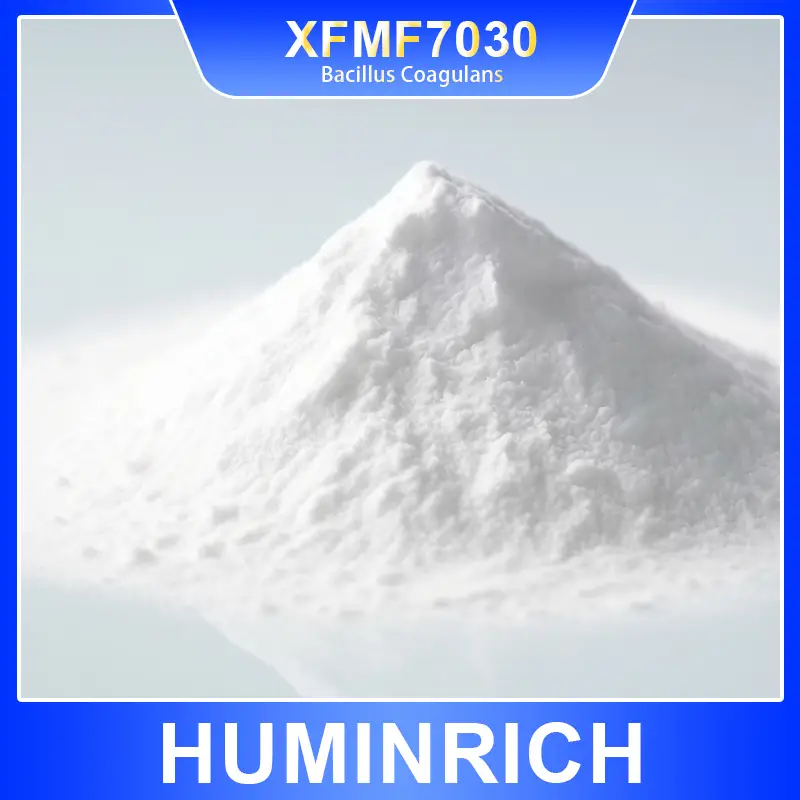 feed grade bacillus coagulans xfmf7030