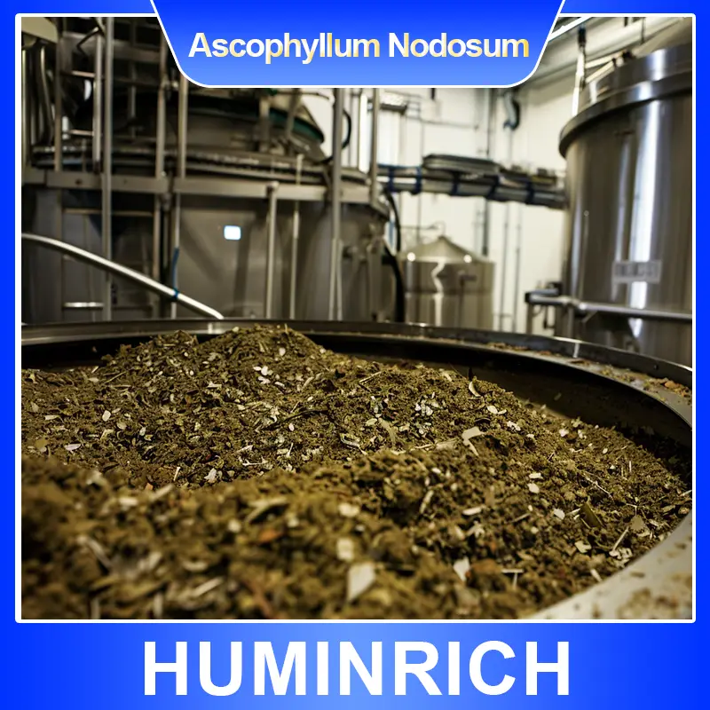 seaweed extracts 2