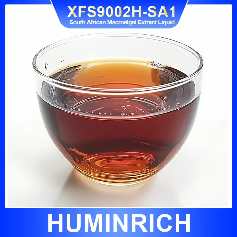 seaweed extracts 5体