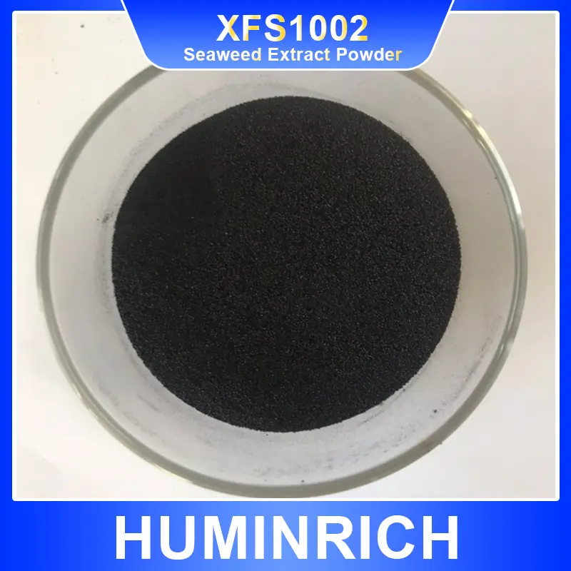 seaweed extracts 6