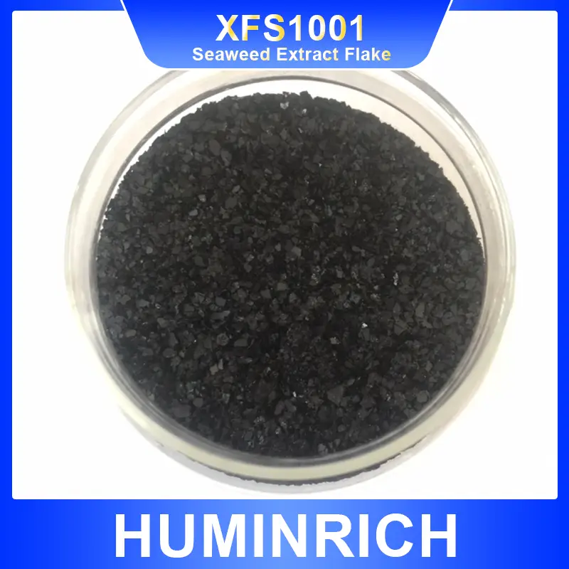 seaweed extracts 7