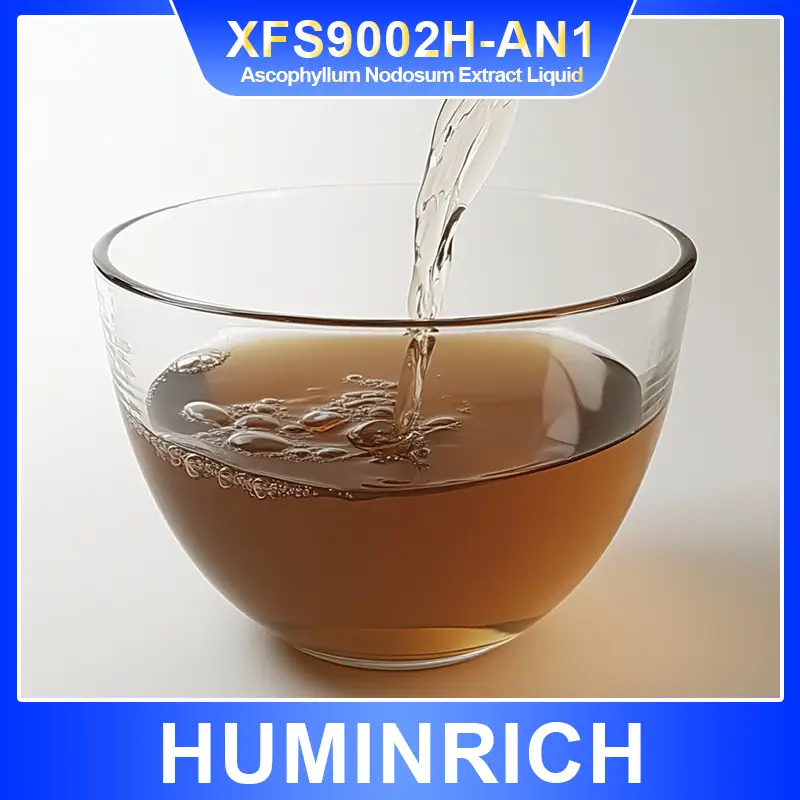 seaweed extracts 8