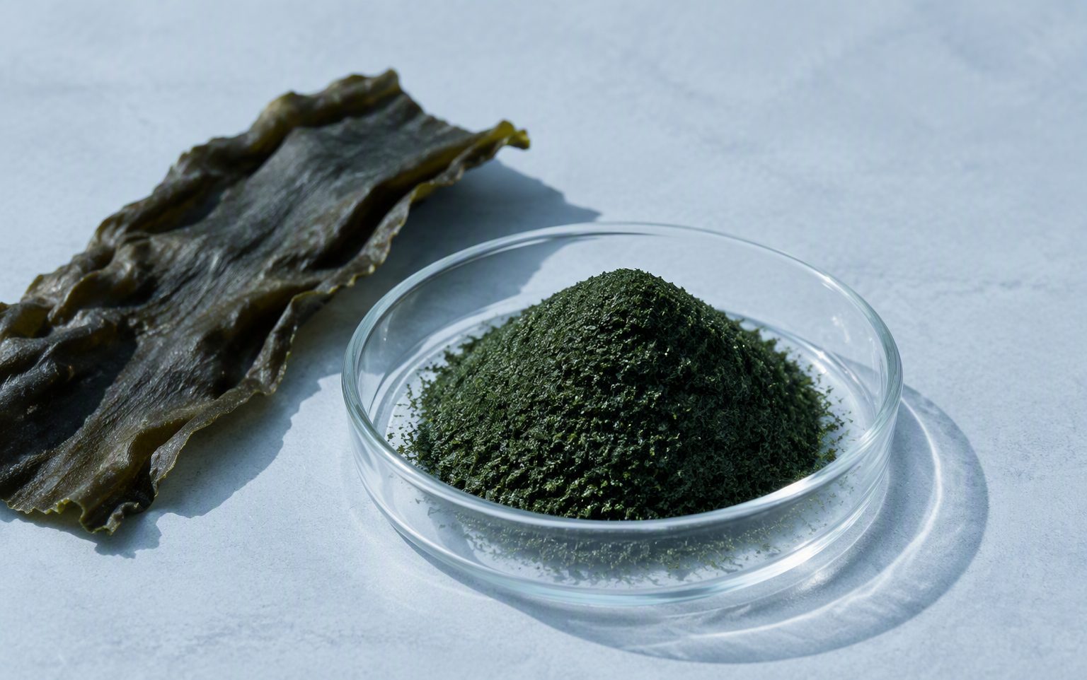 seaweed extracts
